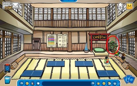 dojo_tojas.jpg